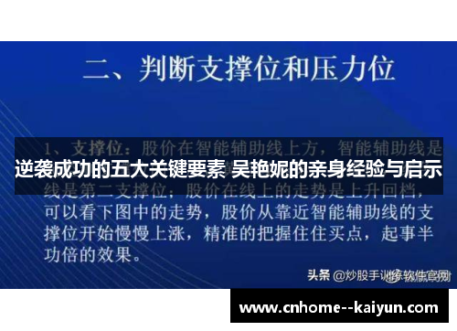逆袭成功的五大关键要素 吴艳妮的亲身经验与启示
