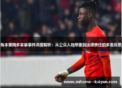 鲁本塞梅多家暴事件深度解析：从公众人物形象到法律责任的多重反思