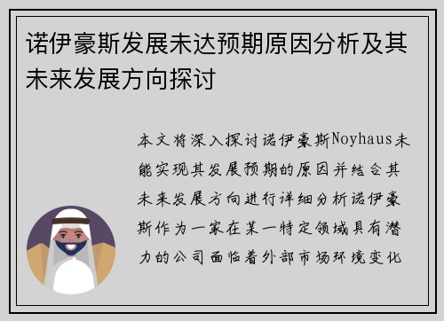 诺伊豪斯发展未达预期原因分析及其未来发展方向探讨