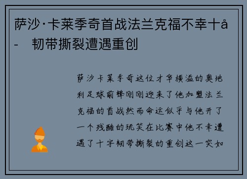 萨沙·卡莱季奇首战法兰克福不幸十字韧带撕裂遭遇重创